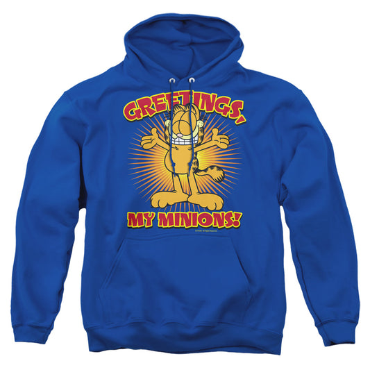 Garfield Minions-adult Pull-over