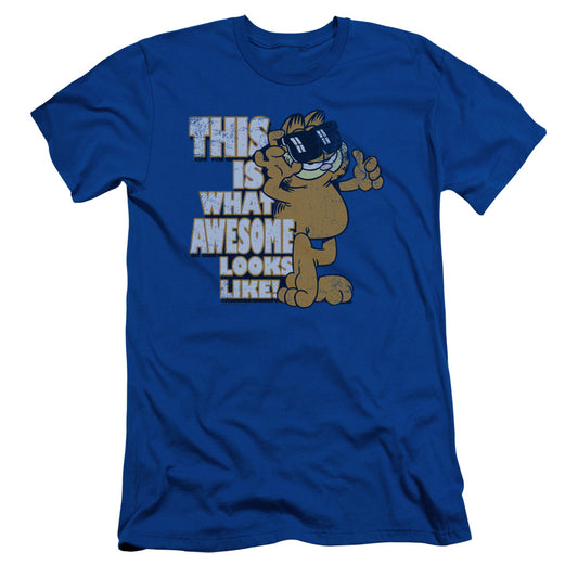 Garfield - Awesome - Short Sleeve Adult 30/1 - Royal Blue T-shirt