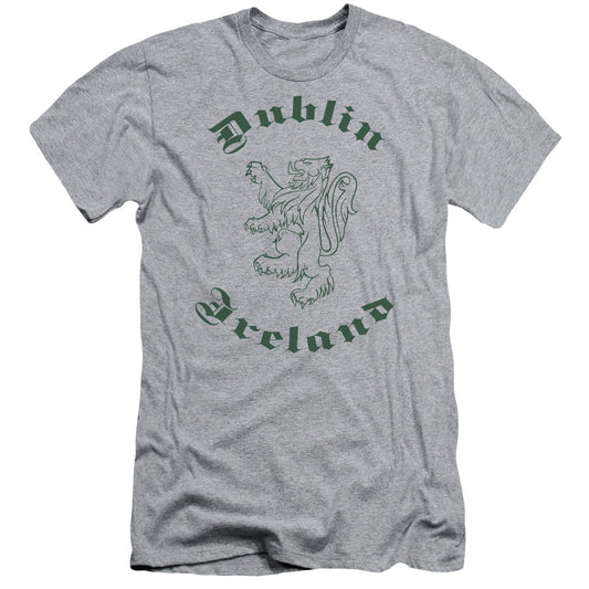 Dublin Ireland - Short Sleeve Adult 30 - 1 - Athletic Heather T-shirt