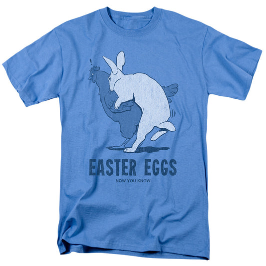 Now You Know - Short Sleeve Adult 18 - 1 - Carolina Blue T-shirt