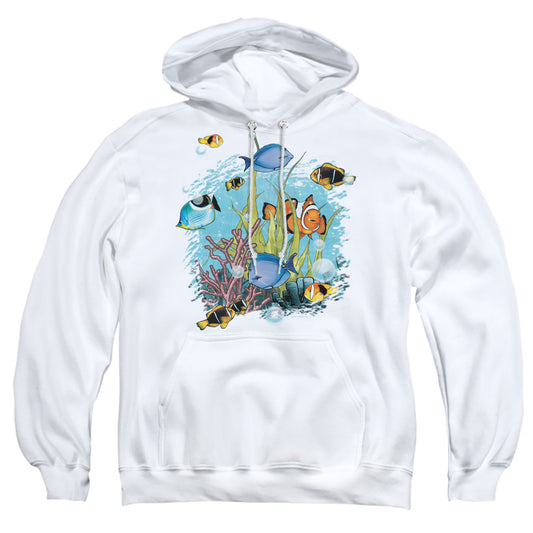 Wildlife - Tropical Fish - Adult Pull-over Hoodie - White
