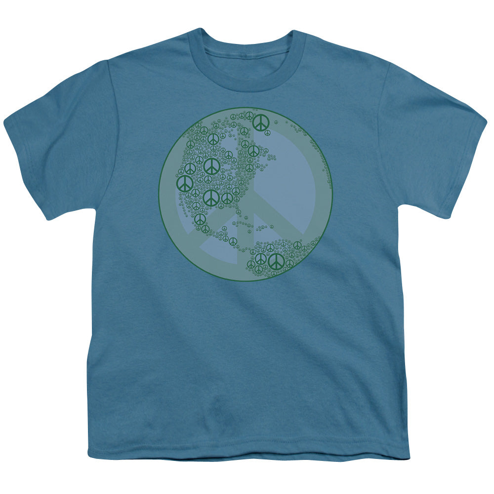 World Peace - Short Sleeve Youth 18 - 1 - Slate T-shirt
