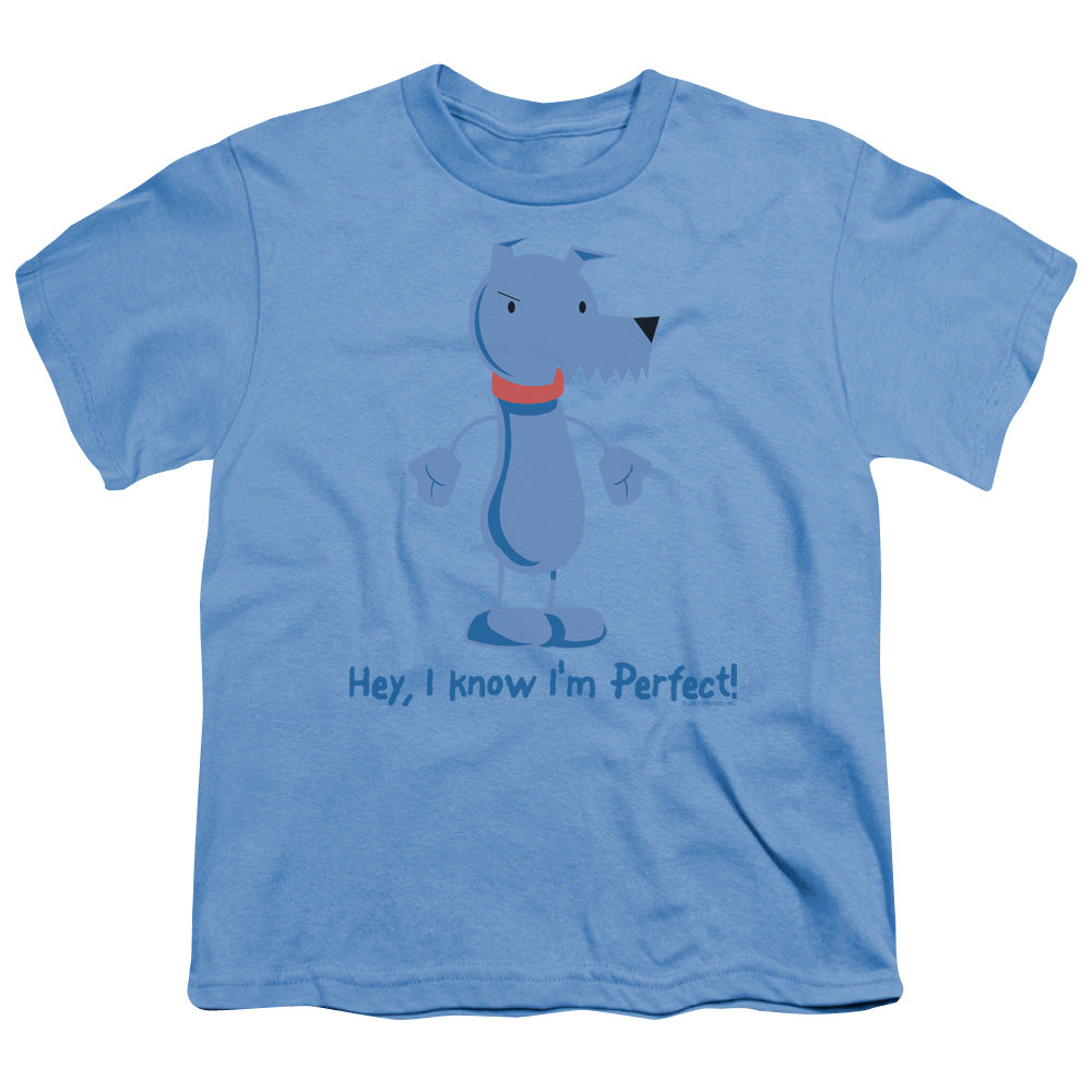 I KNOW IM PERFECT -   YOUTH 18/1 - CAROLINA BLUE T-Shirt