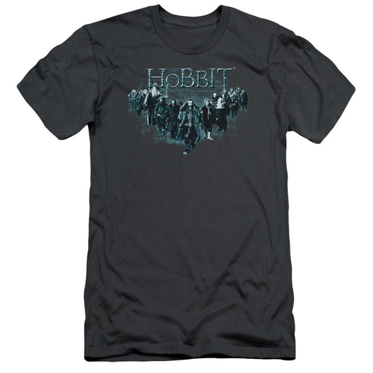 The Hobbit - Thorin And Company - Short Sleeve Adult 30/1 - Charcoal T-shirt