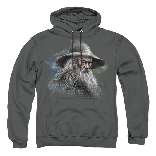The Hobbit Gandalf The Grey-adult