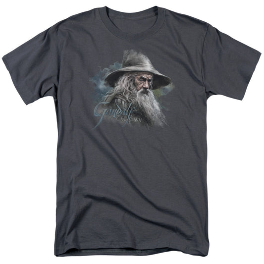 The Hobbit - Gandalf The Grey - Short Sleeve Adult 18/1 - Charcoal T-shirt