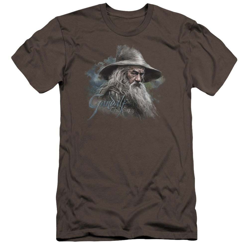 The Hobbit - Gandalf The Grey-premuim Canvas Adult Slim Fit 30/1 - Charcoal