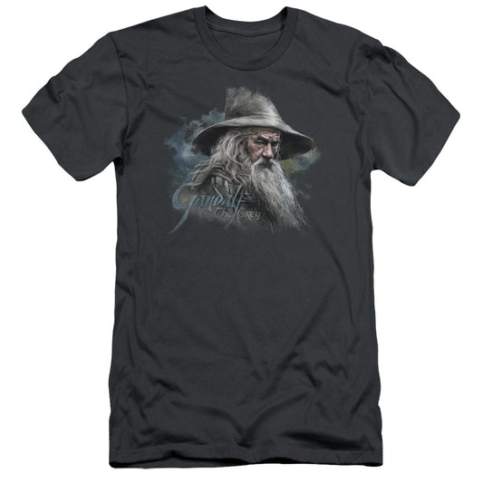 The Hobbit - Gandalf The Grey - Short Sleeve Adult 30/1 - Charcoal T-shirt