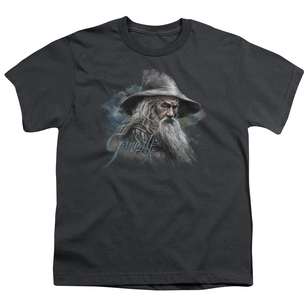 The Hobbit - Gandalf The Grey - Short Sleeve Youth 18/1 - Charcoal T-shirt