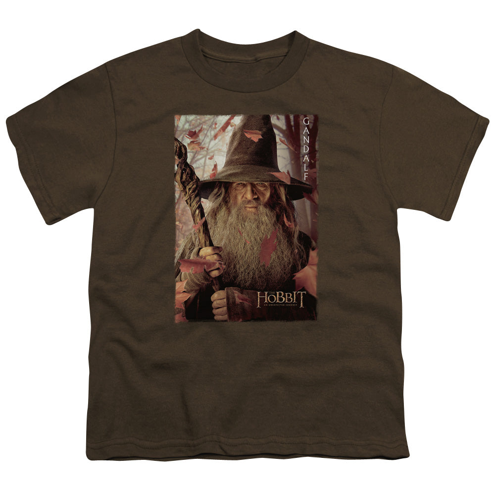 The Hobbit - Galdalf Poster - Short Sleeve Youth 18/1 - Coffee T-shirt