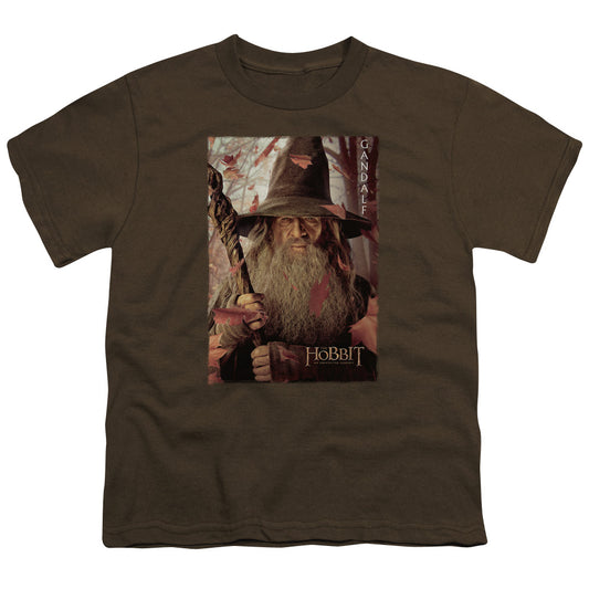 The Hobbit - Galdalf Poster - Short Sleeve Youth 18/1 - Coffee T-shirt