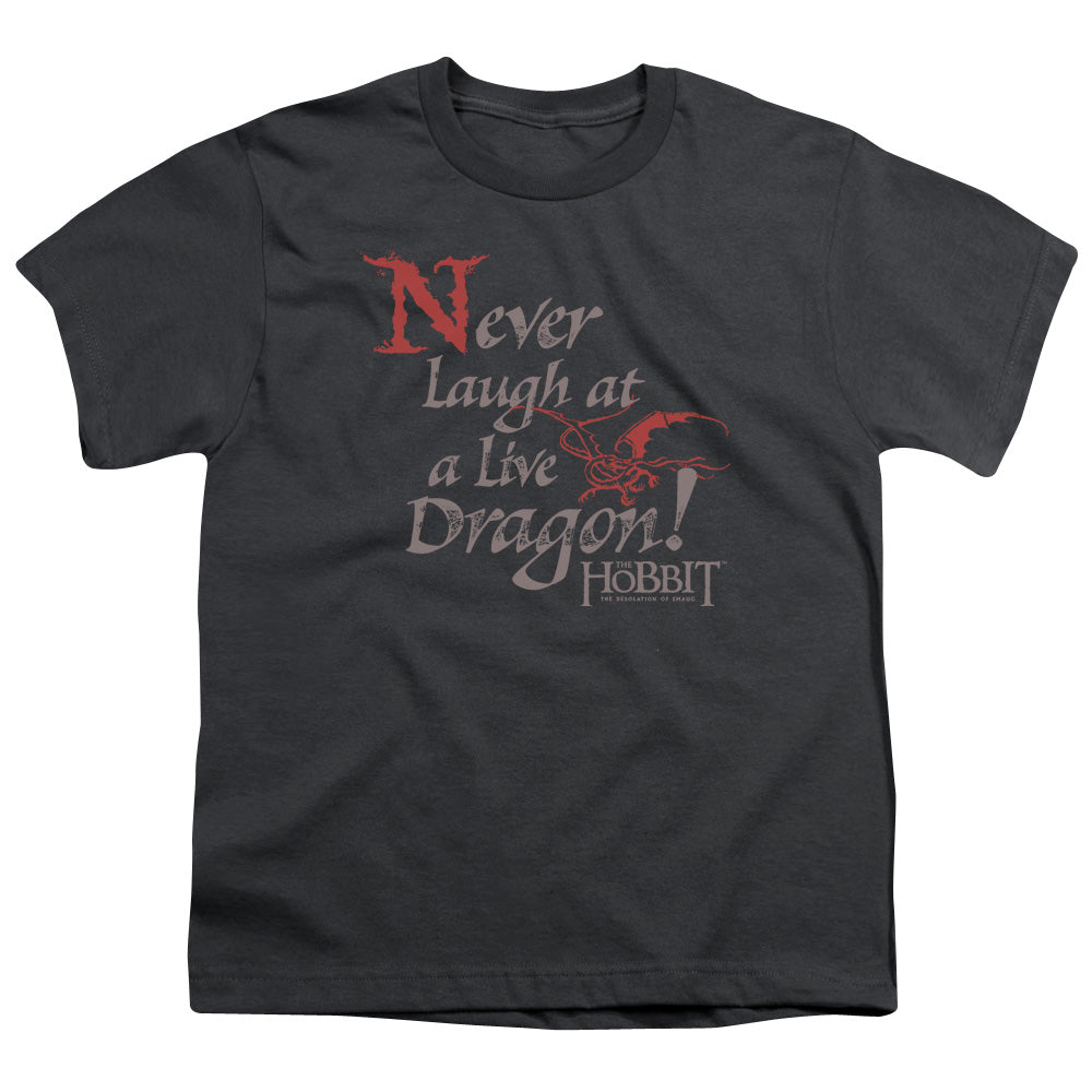 Hobbit - Never Laugh - Short Sleeve Youth 18/1 - Charcoal T-shirt