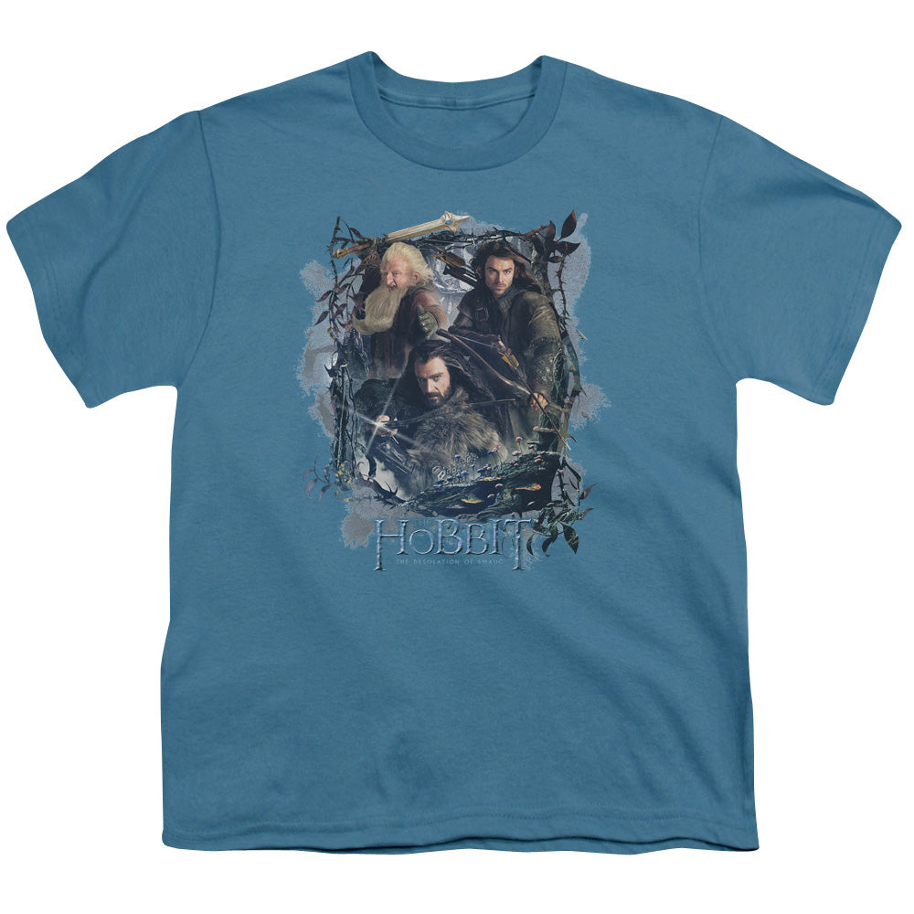 Hobbit - Three Dwarves - Short Sleeve Youth 18/1 - Slate T-shirt