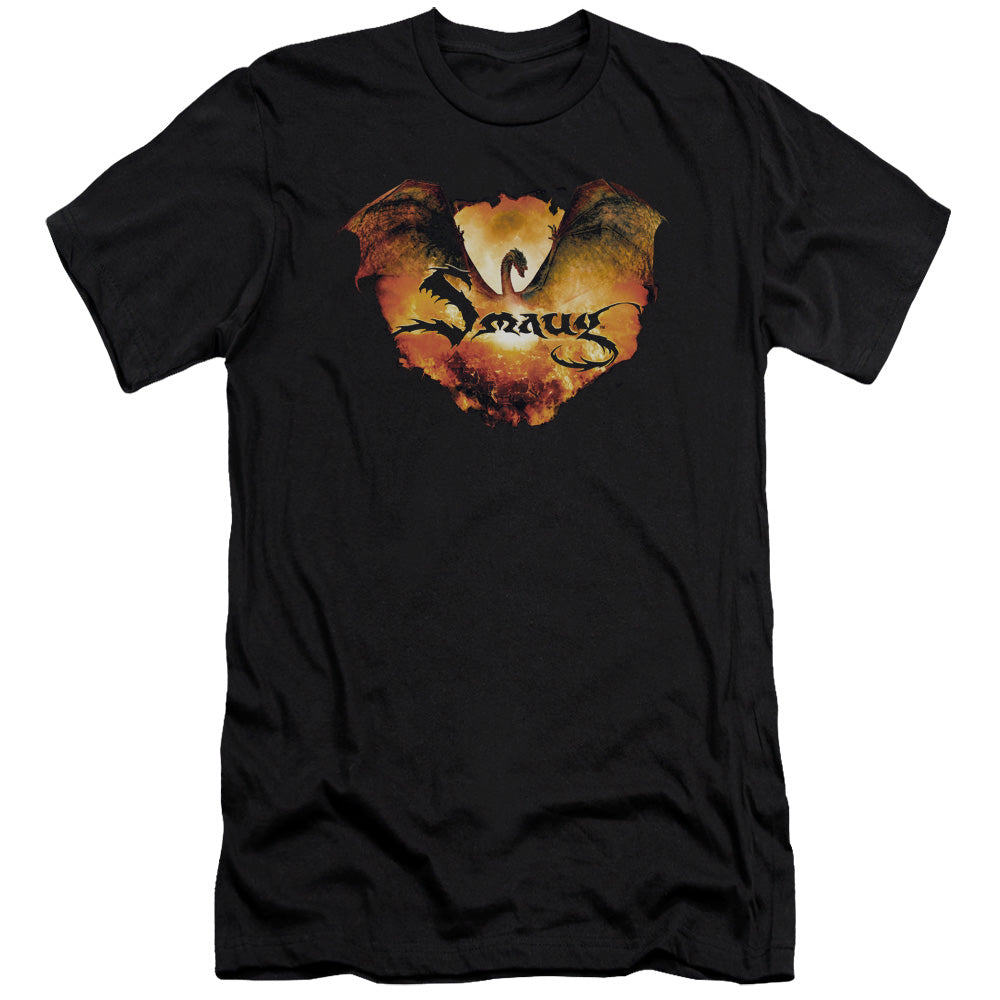 Hobbit - Reign In Flame - Short Sleeve Adult 30/1 - Black T-shirt