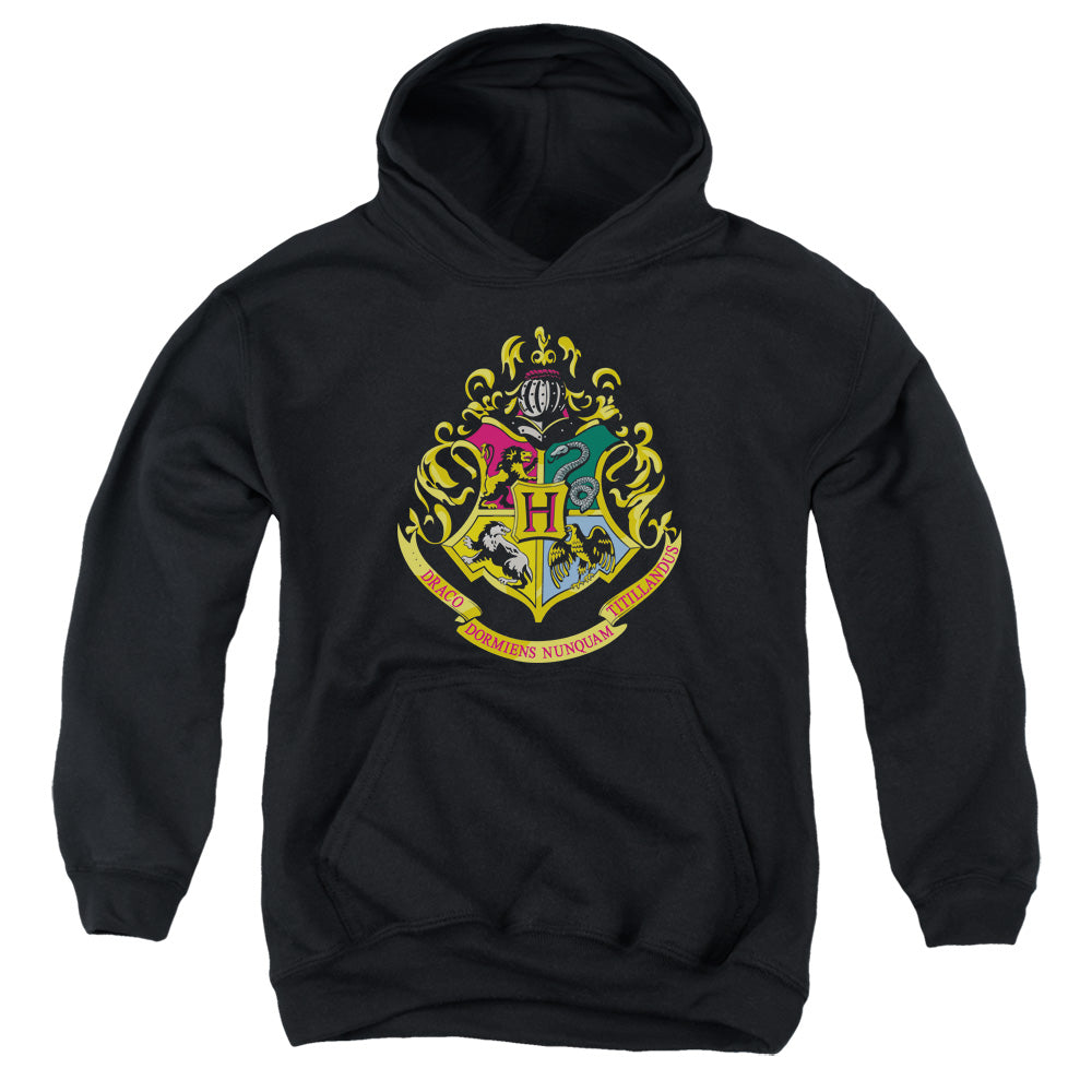 Harry Potter - Hogwarts Crest - Youth Pull-over Hoodie - Black