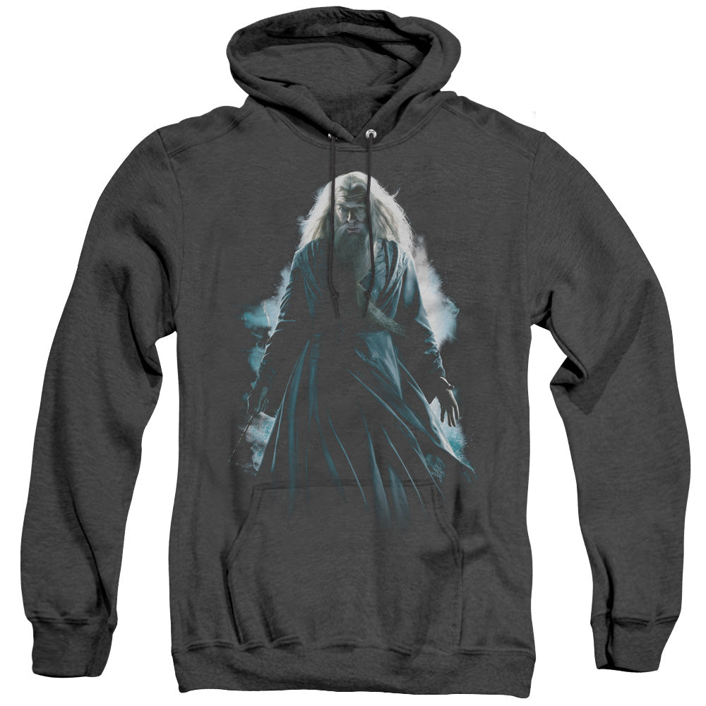 Harry Potter Dumbledore Burst-adult