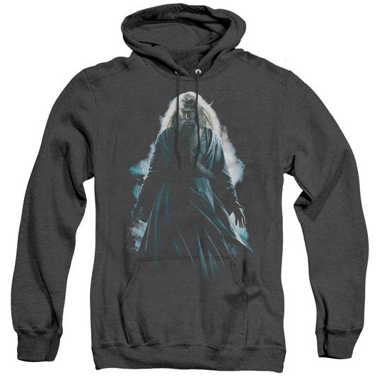 Harry Potter Dumbledore Burst-adult
