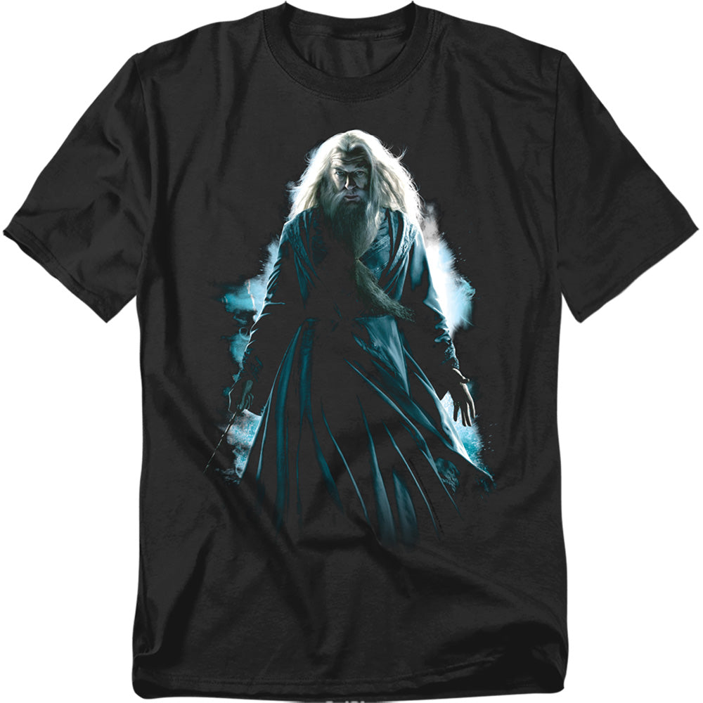 Harry Potter - Dumbledore Burst - Short Sleeve Adult 18/1 - Black T-shirt