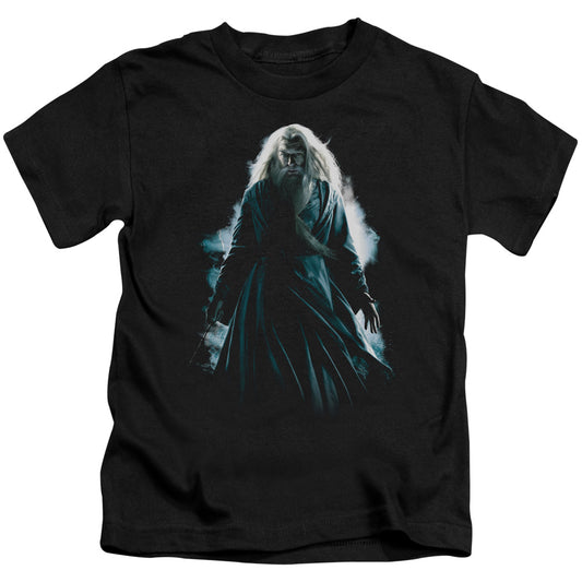 HARRY POTTER DUMBLEDORE BURST-S/S T-Shirt