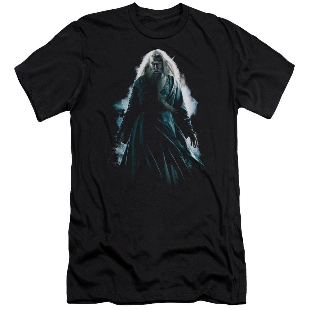 Harry Potter - Dumbledore Burst - Short Sleeve Adult 30/1 - Black T-shirt