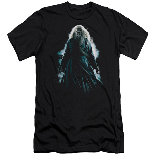 Harry Potter - Dumbledore Burst - Short Sleeve Adult 30/1 - Black T-shirt