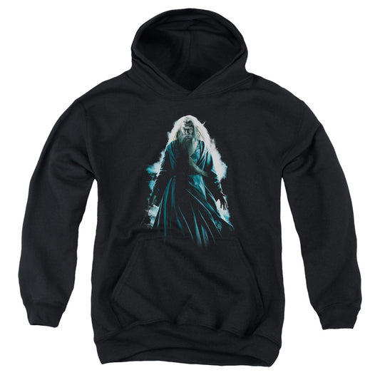 Harry Potter - Dumbledore Burst - Youth Pull-over Hoodie - Black