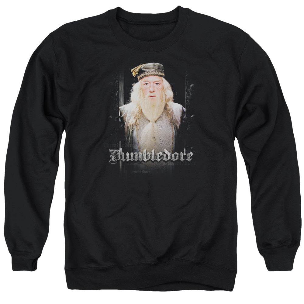 Harry Potter - Dumble Doors - Adult Crewneck Sweatshirt - Black