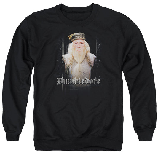 Harry Potter - Dumble Doors - Adult Crewneck Sweatshirt - Black