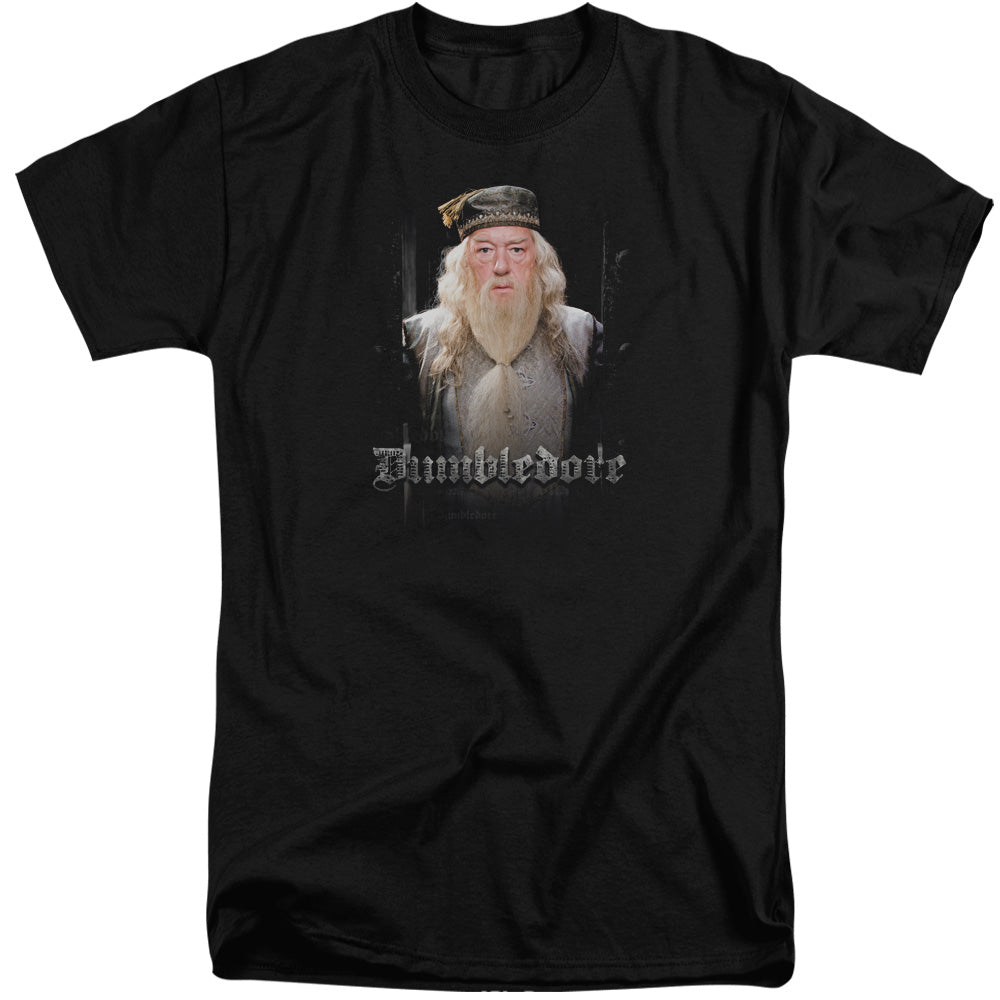 Harry Potter - Dumble Doors - Short Sleeve Adult Tall 18/1 - Black T-shirt