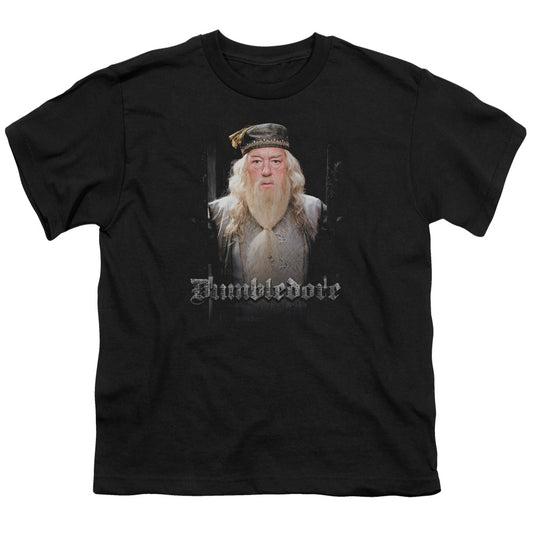 Harry Potter - Dumble Doors - Short Sleeve Youth 18/1 - Black T-shirt