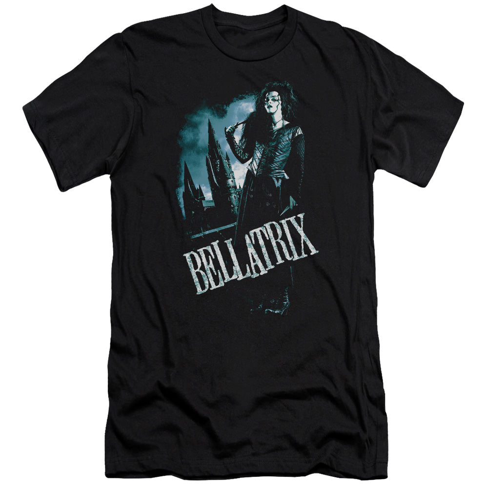 Harry Potter - Bellatrix Full Body-hbo Short Sleeve Adult 30/1 - Black T-shirt