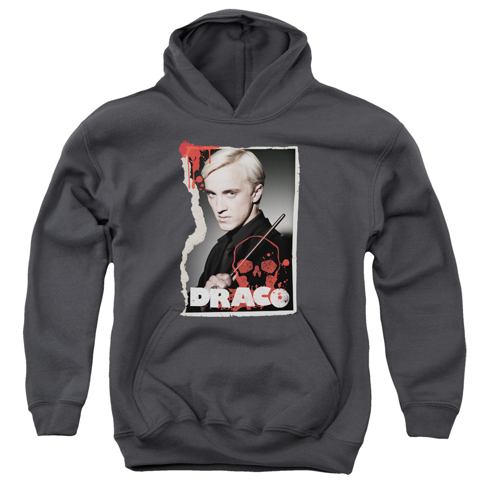 Harry Potter - Draco Frame - Youth Pull-over Hoodie - Charcoal