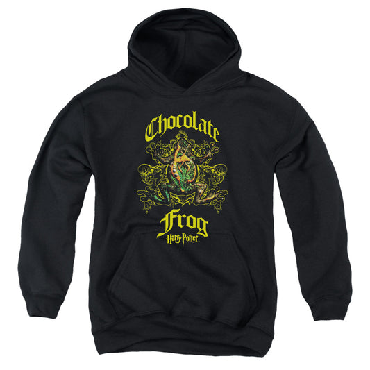 Harry Potter - Chocolate Frog - Youth Pull-over Hoodie - Black