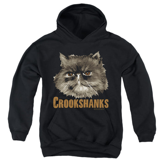 Harry Potter - Crookshanks - Youth Pull-over Hoodie - Black