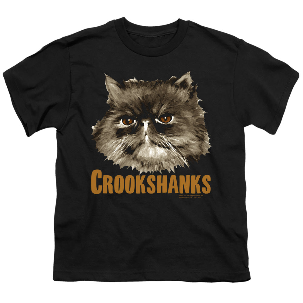 Harry Potter - Crookshanks - Short Sleeve Youth 18/1 - Black T-shirt