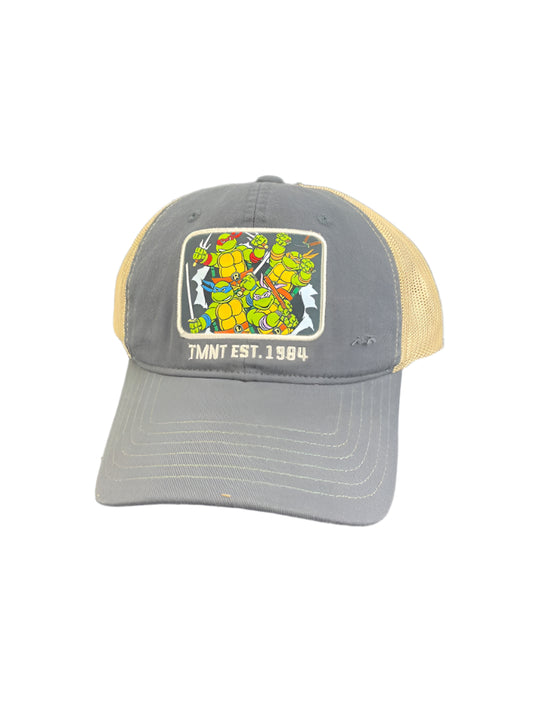 Teenage Mutant Ninja Turtles 1984 Patch Cap