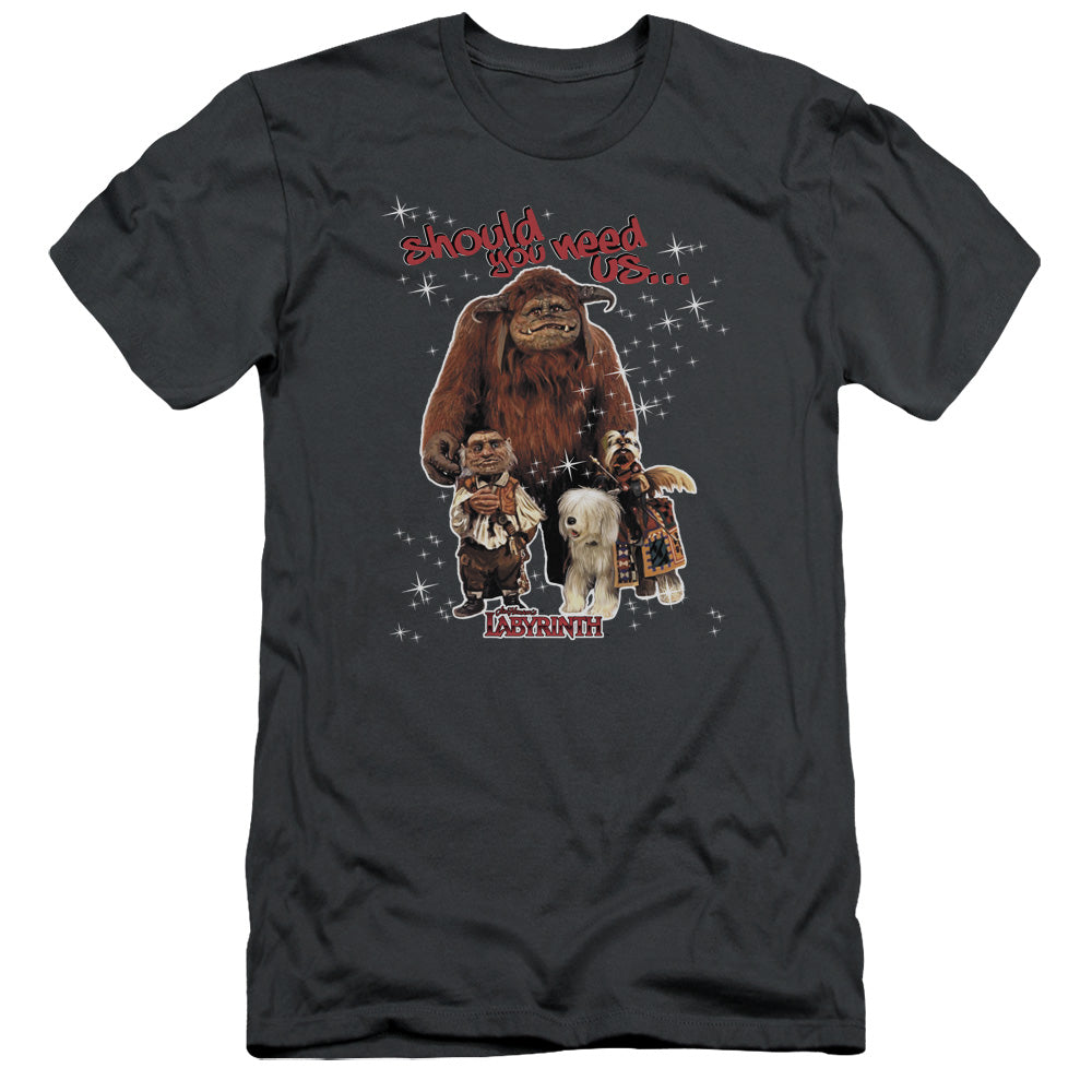 Labyrinth - Should You Need Us - Short Sleeve Adult 30/1 - Charcoal T-shirt