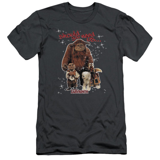 Labyrinth - Should You Need Us - Short Sleeve Adult 30/1 - Charcoal T-shirt