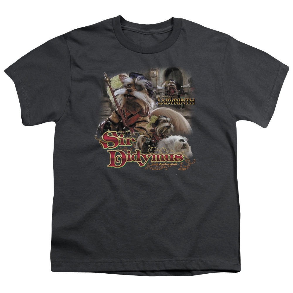 LABYRINTH SIR DIDYMUS - S/S YOUTH 18/1 - CHARCOAL T-Shirt