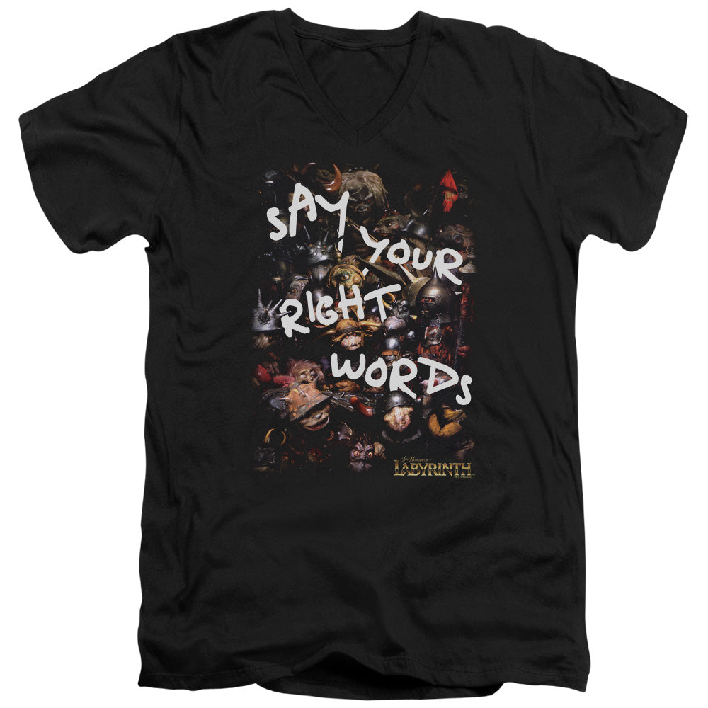 Labyrinth - Right Words - Short Sleeve Adult V-neck - Black T-shirt