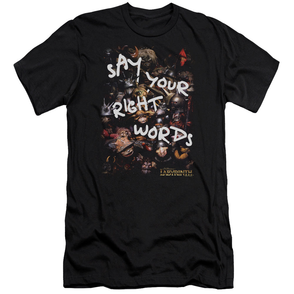 Labyrinth - Right Words - Short Sleeve Adult 30/1 - Black T-shirt
