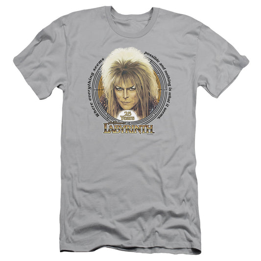 Labyrinth - 25 Years - Short Sleeve Adult 30/1 - Silver T-shirt