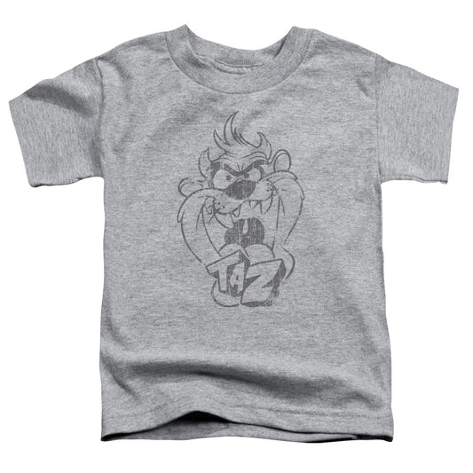 Looney Tunes - Faded Taz - Short Sleeve Toddler Tee - Athletic Heather T-shirt