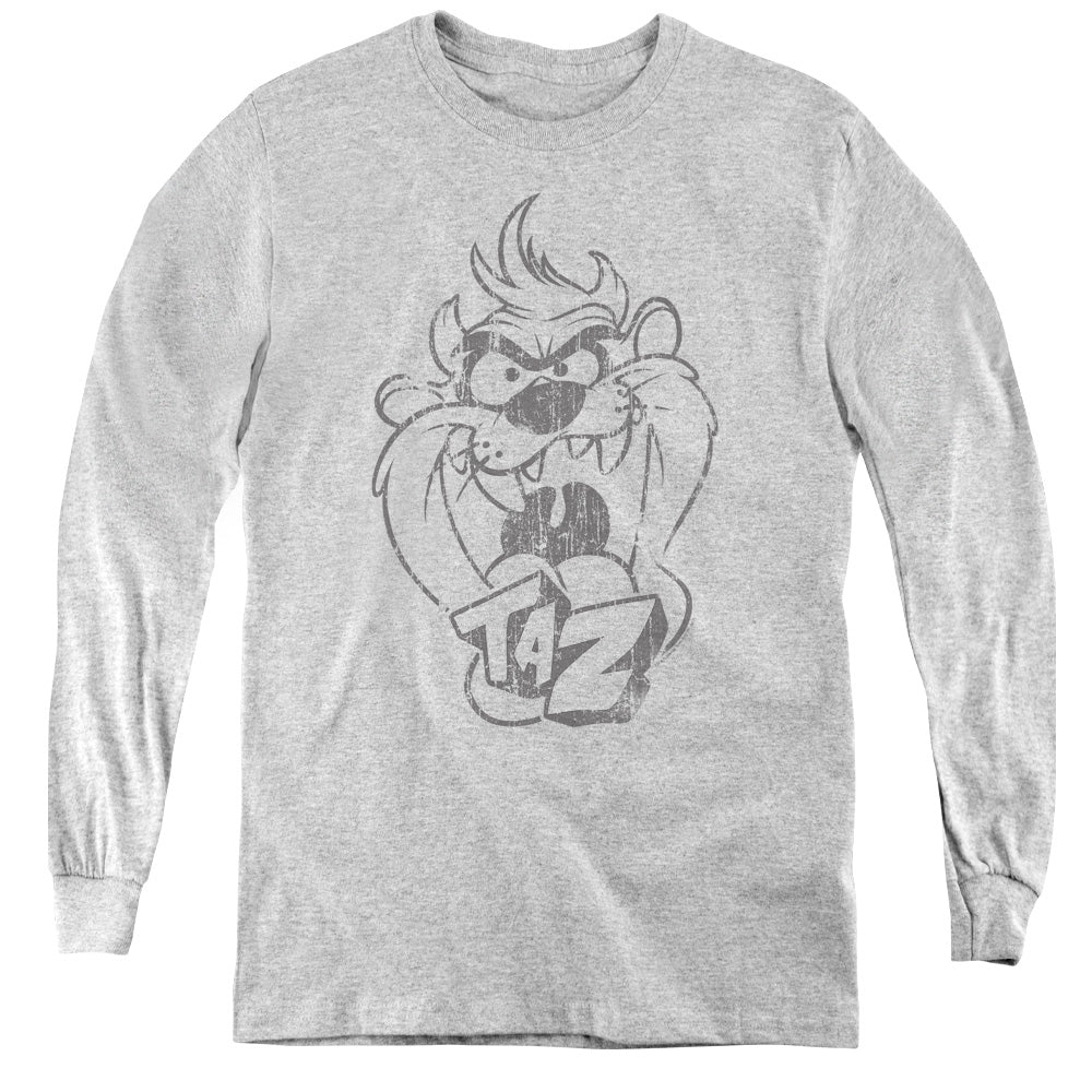 Looney Tunes - Faded Taz - Youth Long Sleeve Tee - Athletic Heather