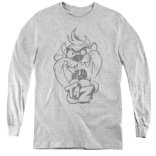 Looney Tunes - Faded Taz - Youth Long Sleeve Tee - Athletic Heather