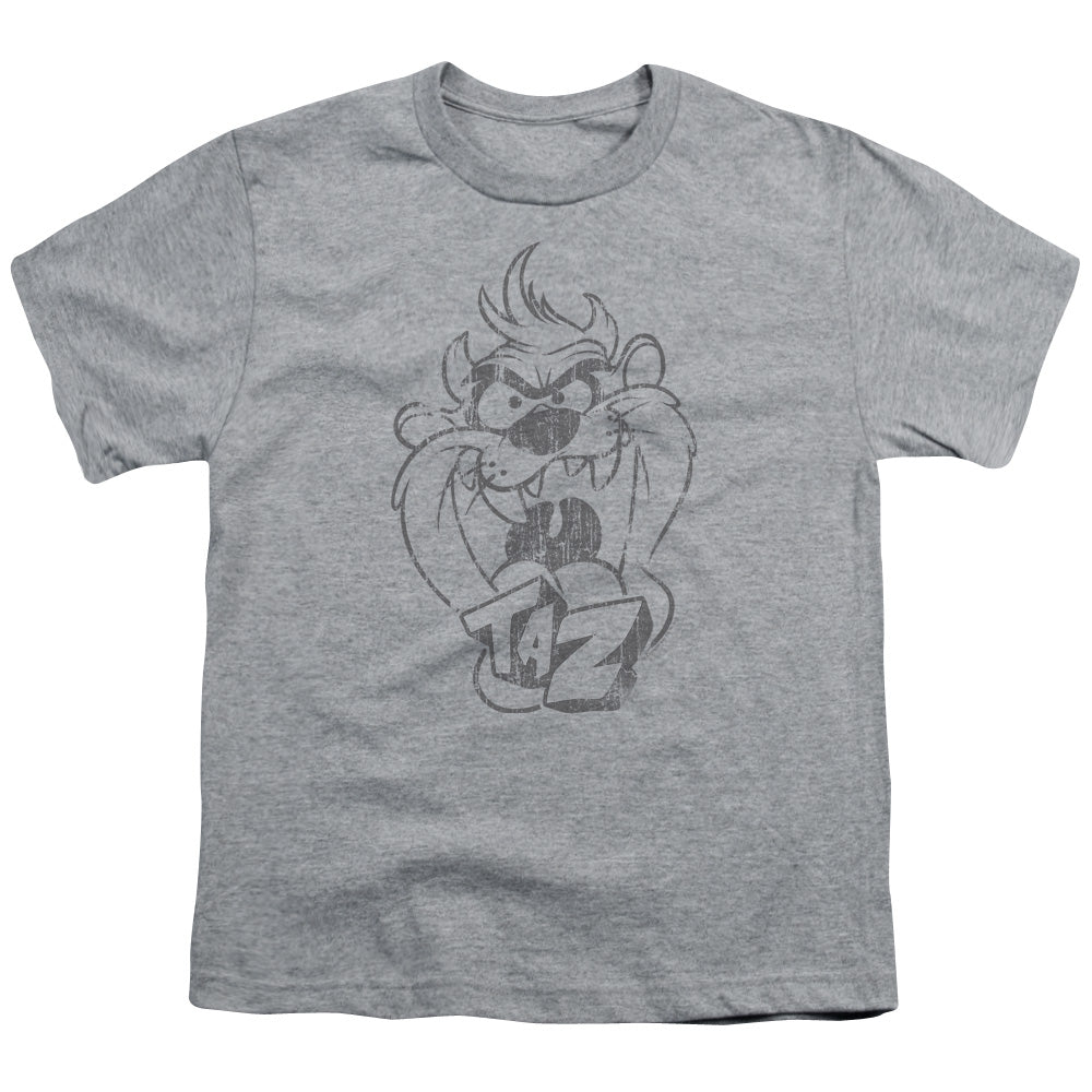 Looney Tunes - Faded Taz - Short Sleeve Youth 18/1 - Athletic Heather T-shirt