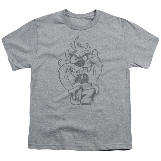 Looney Tunes - Faded Taz - Short Sleeve Youth 18/1 - Athletic Heather T-shirt