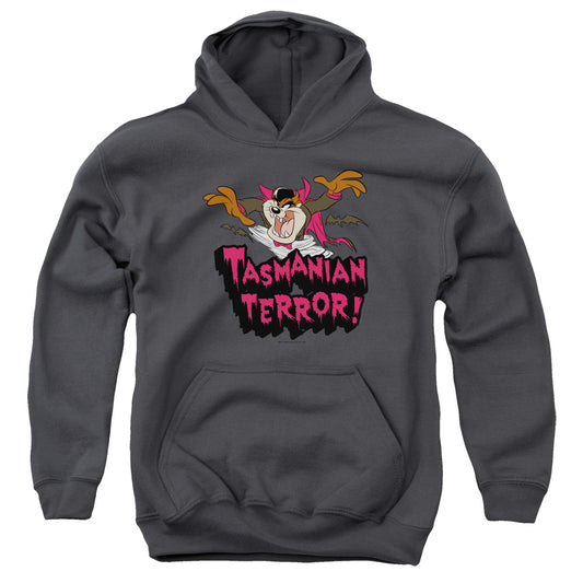 Looney Tunes - Taz Terror - Youth Pull-over Hoodie - Charcoal