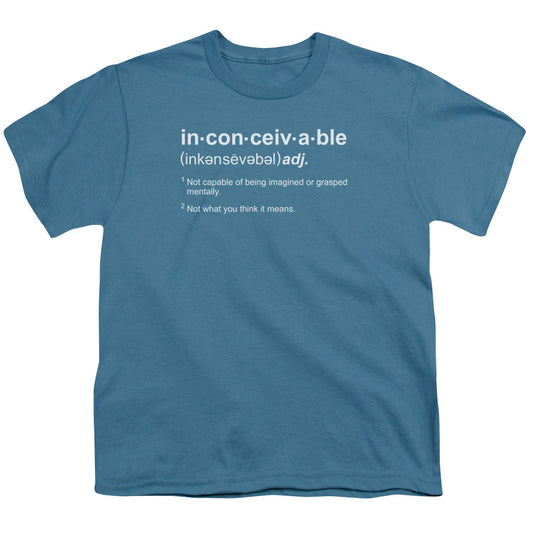 Princess Bride - Definition - Short Sleeve Youth 18/1 - Slate T-shirt