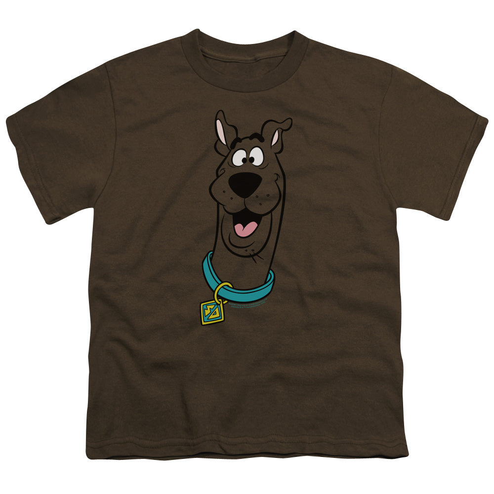 Scooby Doo - Scooby Doo - Short Sleeve Youth 18/1 - Coffee T-shirt